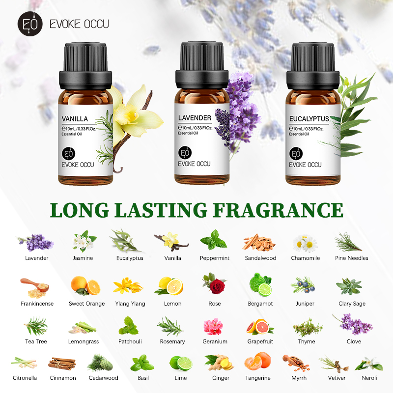 EVOKE OCCU 10 ml Olio Essenzia - Soap Making Ingredients recensione e prezzo